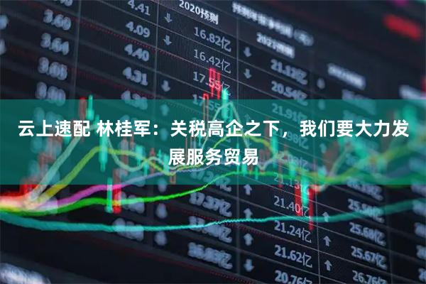云上速配 林桂军：关税高企之下，我们要大力发展服务贸易