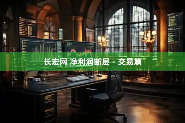 长宏网 净利润断层 - 交易篇