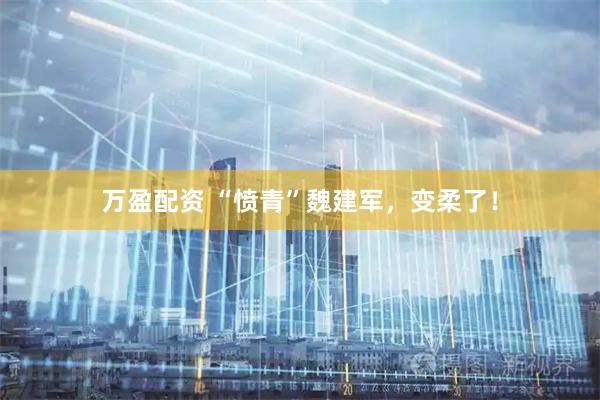 万盈配资 “愤青”魏建军，变柔了！