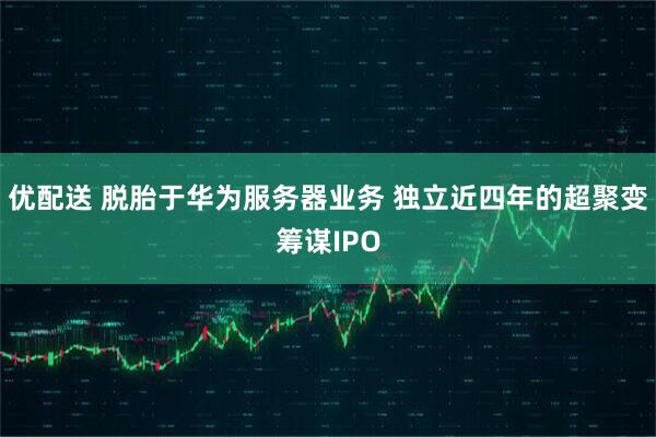 优配送 脱胎于华为服务器业务 独立近四年的超聚变筹谋IPO