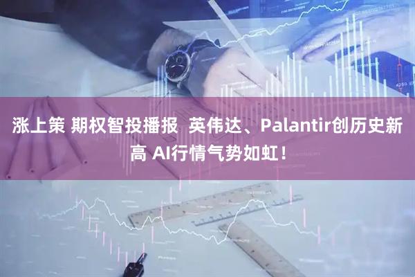 涨上策 期权智投播报  英伟达、Palantir创历史新高 AI行情气势如虹！