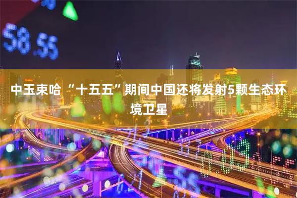 中玉束哈 “十五五”期间中国还将发射5颗生态环境卫星