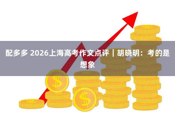 配多多 2026上海高考作文点评｜胡晓明：考的是想象