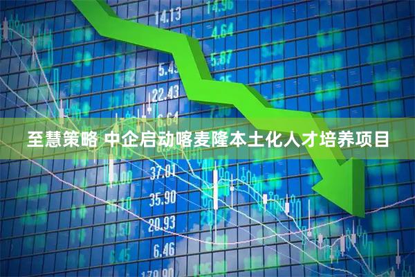 至慧策略 中企启动喀麦隆本土化人才培养项目